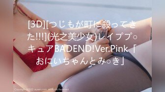 [3D][つじもが町に殺ってきた!!!](光之美少女)レイププ○キュアBADEND!Ver.Pink「おにいちゃんとみ○き」