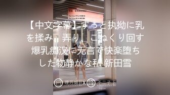 【中文字幕】ずっと执拗に乳を揉み、弄り、こねくり回す 爆乳痴汉に无言で快楽堕ちした物静かな私 新田雪