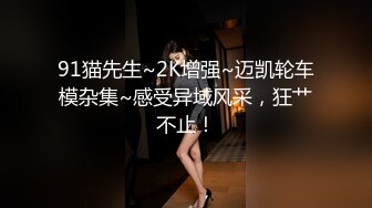 91猫先生~2K增强~迈凯轮车模杂集~感受异域风采，狂艹不止！