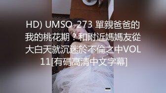 HD) UMSO-273 單親爸爸的我的桃花期？和附近媽媽友從大白天就沉迷於不倫之中VOL 11[有碼高清中文字幕]